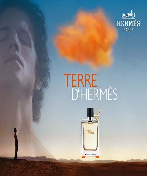 Hermes Terre D`Hermes Erkek Edt 100ml
